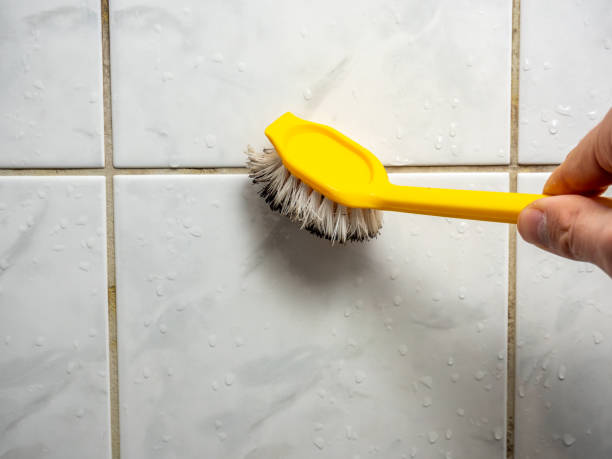 Best Home Mold Removal  in Woodworth, OH