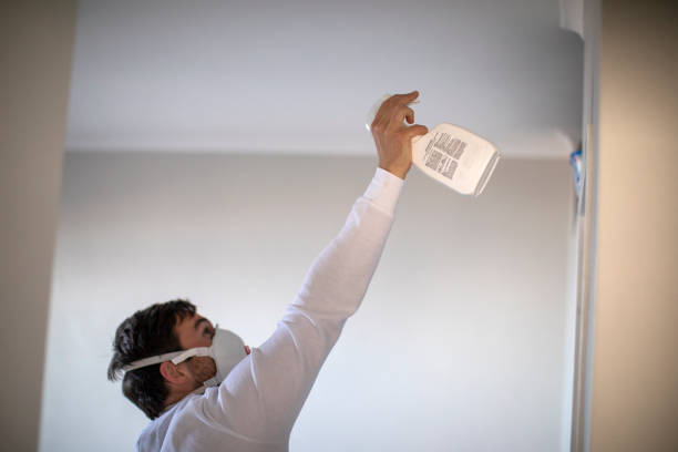 Best Mold Cleaning Services  in Woodworth, OH