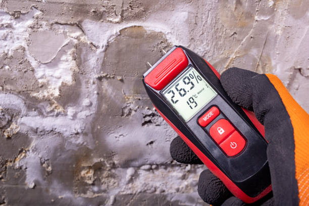 Best Mold Removal Specialists  in Woodworth, OH