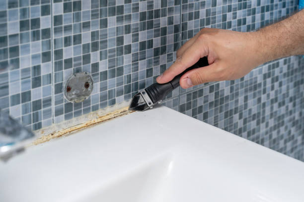 Best Local Mold Removal Service  in Woodworth, OH