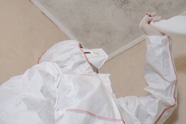 Best Black Mold Removal  in Woodworth, OH